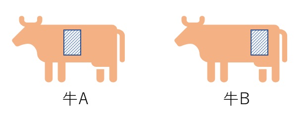 使われる牛の部位